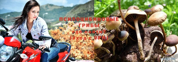 прущая мука Апатиты